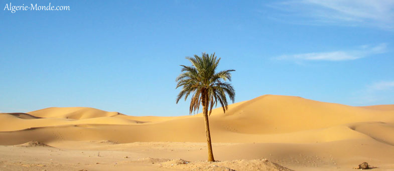 Dune de sable Ouargla