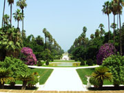 Photos Jardin d'Essai Alger