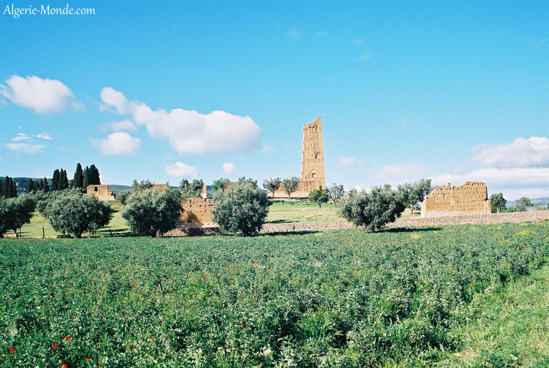 Les ruines de la Mansourah Tlemcen