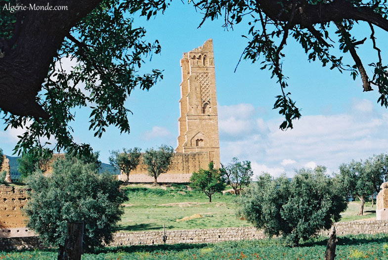 Les ruines de la Mansourah Tlemcen