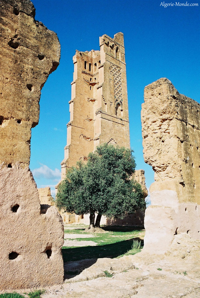 Les ruines de la Mansourah Tlemcen