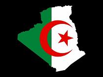 Le Tee-shirt de Kenza