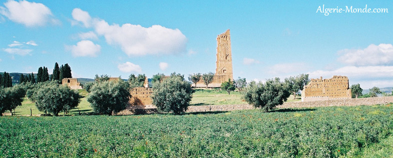 Ruines de Mansourah, Tlemcen